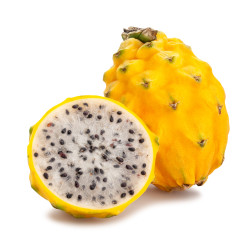 PITAHAYA JAUNE 14PCS
